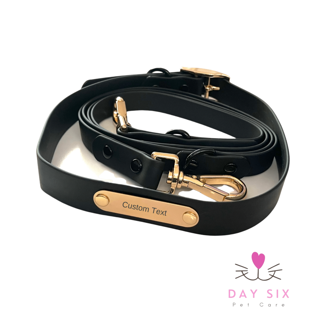 Custom Waterproof Collar and leash Set