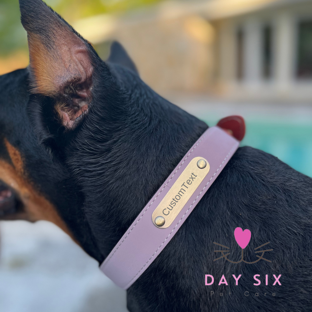 Luxe Leather Collar