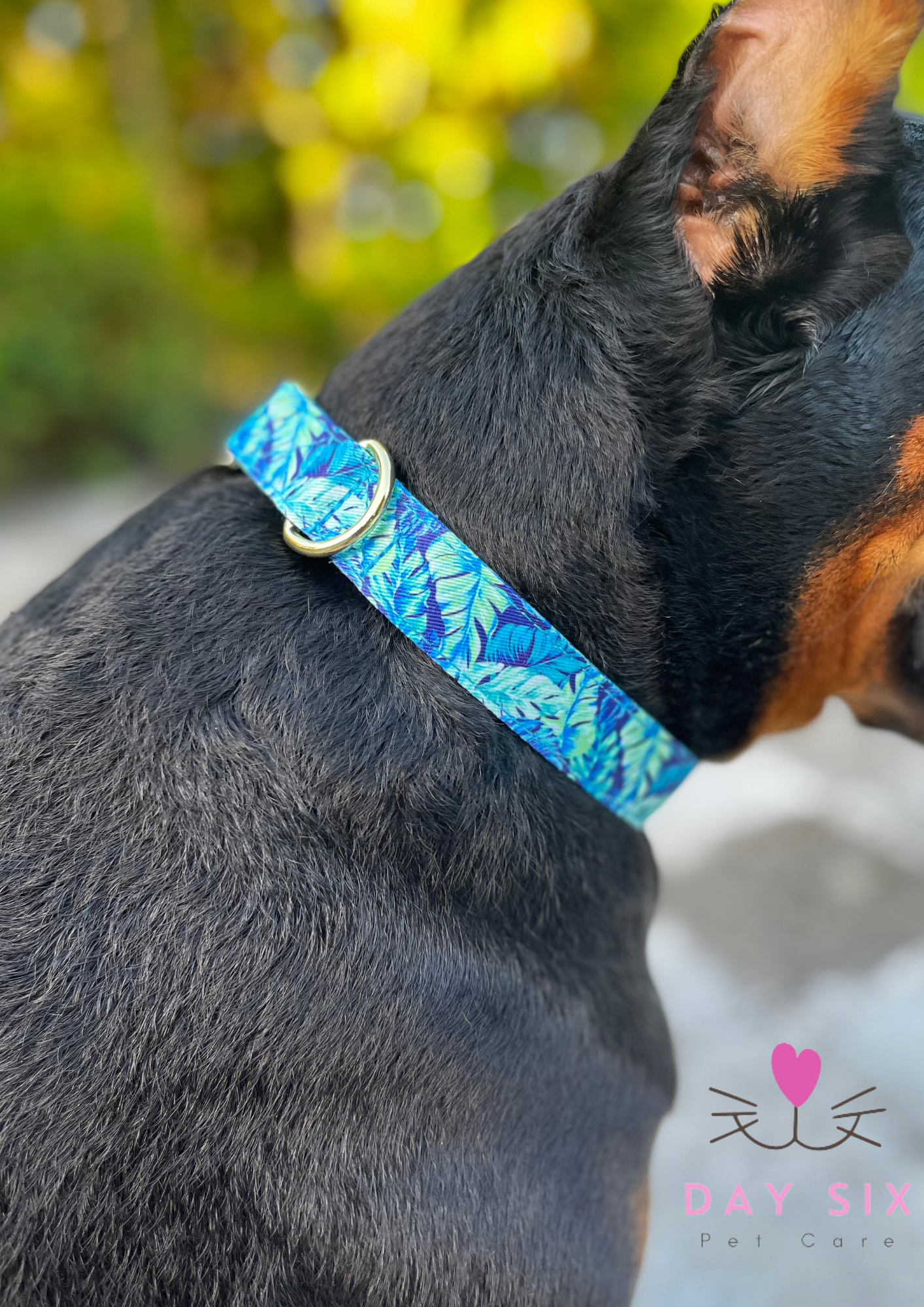 Name Plate Collars