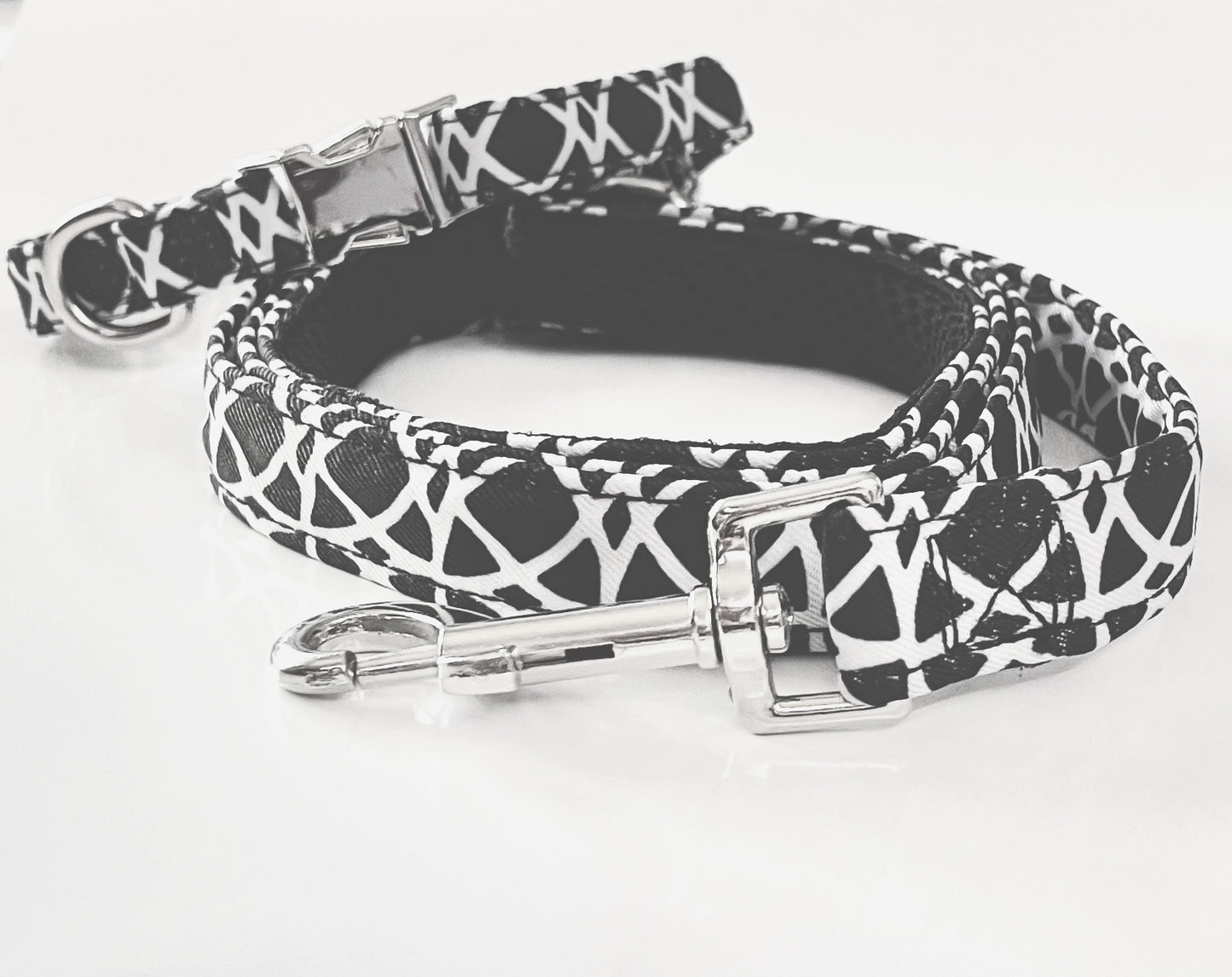 Name Plate Collar&Leash Set