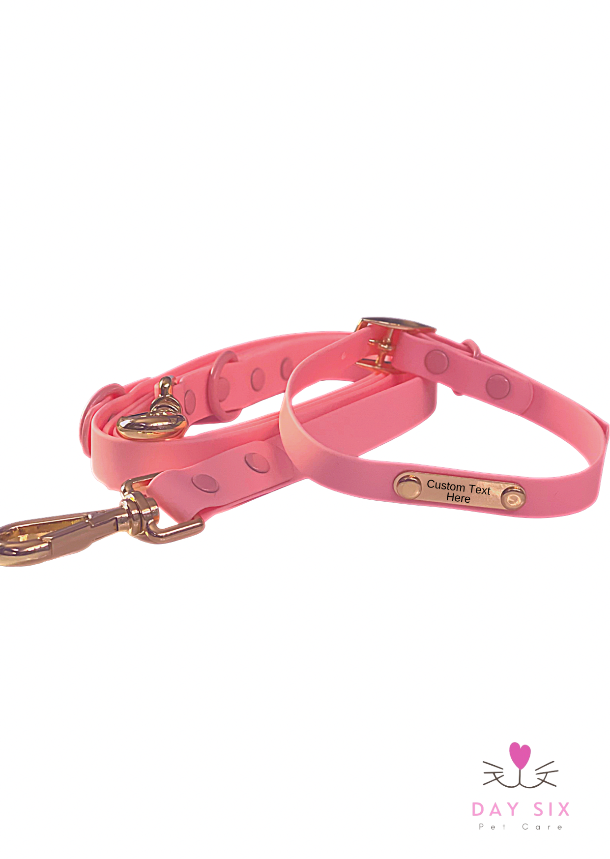 Custom Waterproof Collar and leash Set