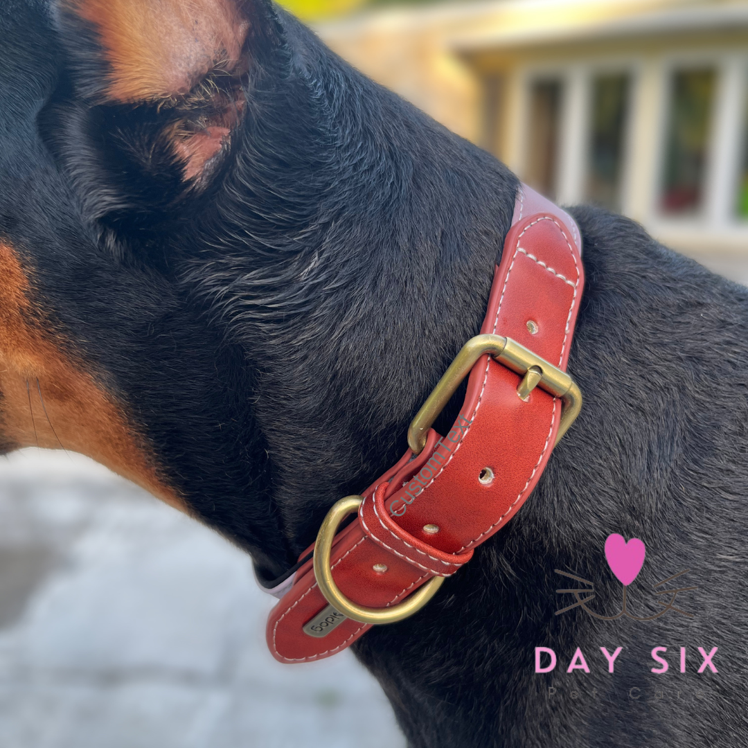 Luxe Leather Collar
