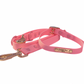 Custom Waterproof Collar and leash Set